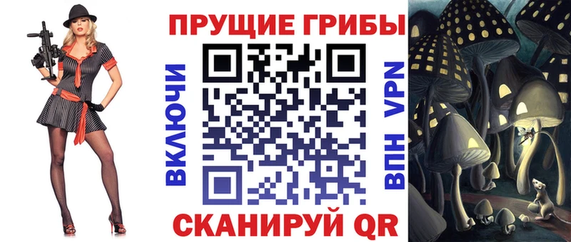 Галлюциногенные грибы GOLDEN TEACHER  Зеленоградск 